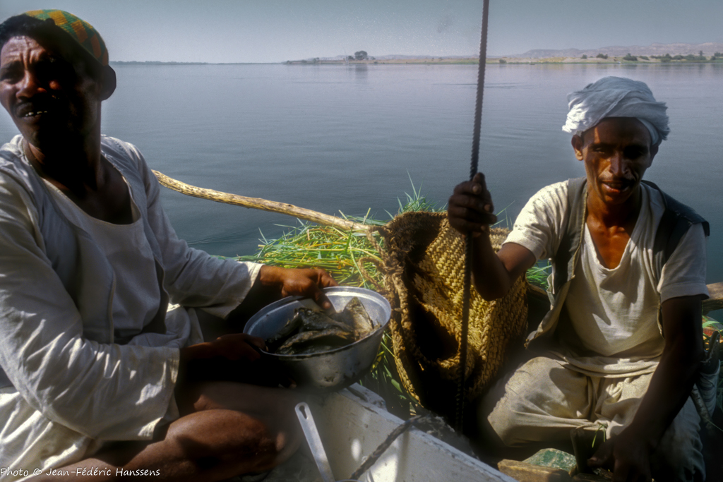 <p>Au fil du Nil...l es poissons sont frais.</p>